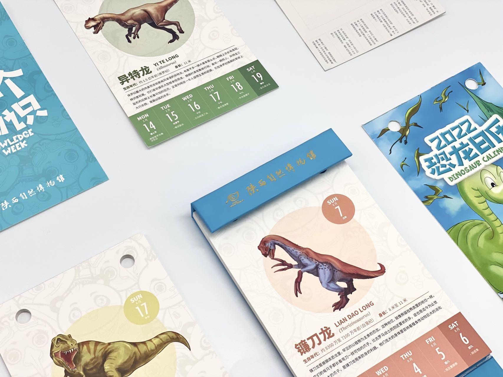 ������app