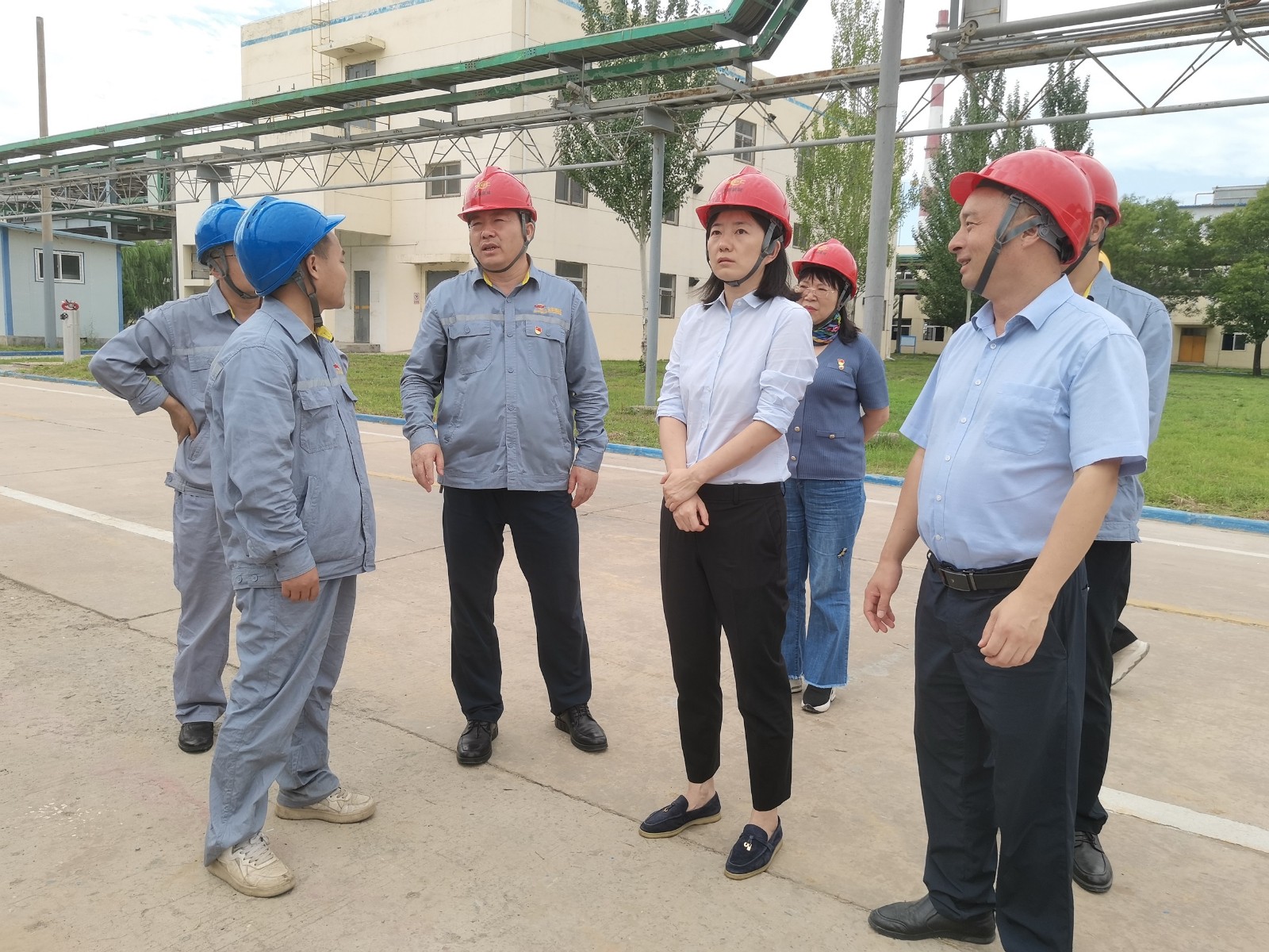 ������app