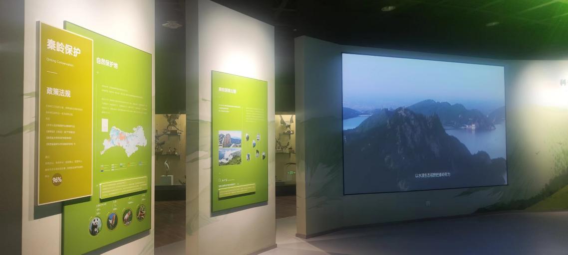 ������app