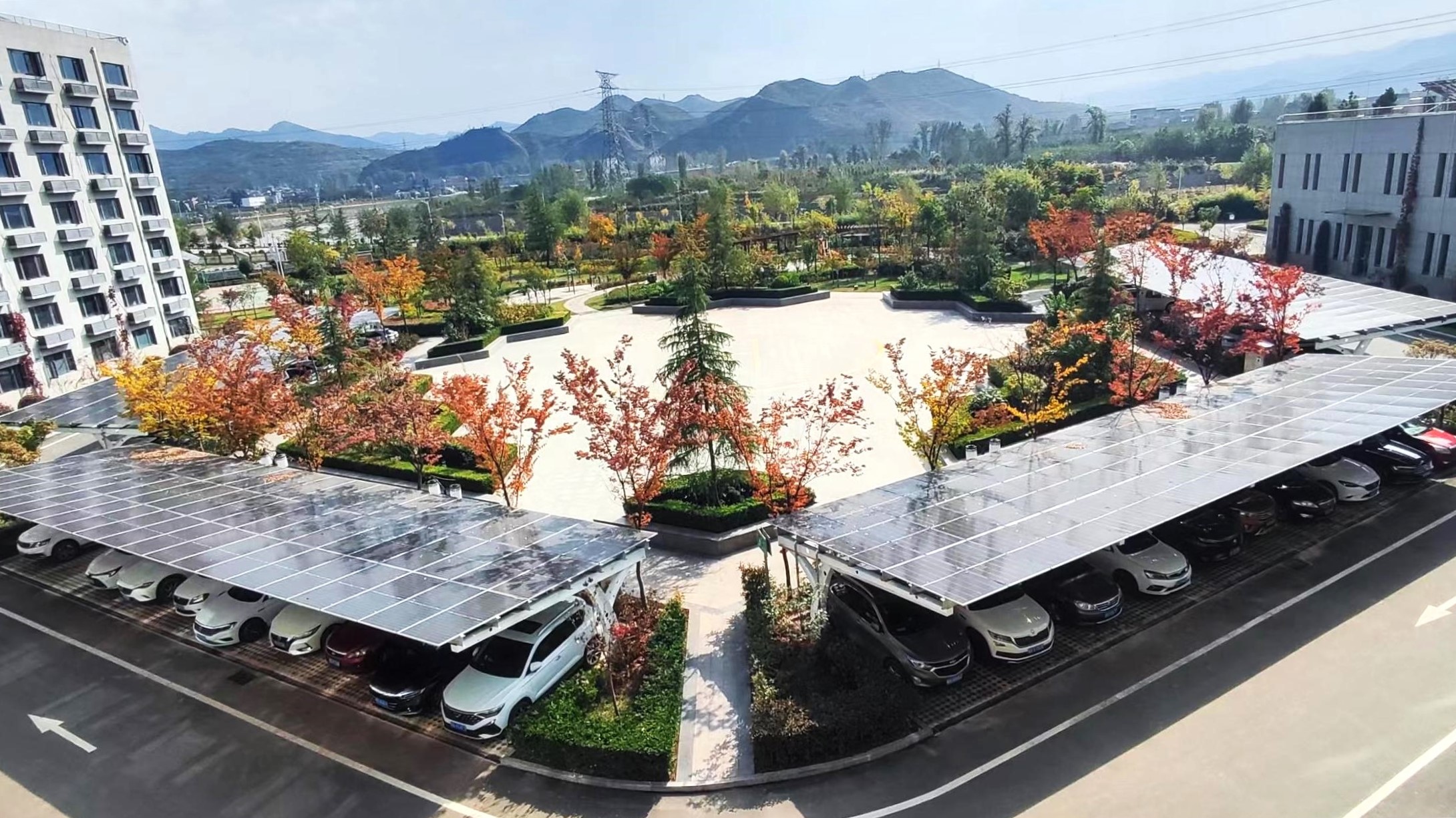 ������app