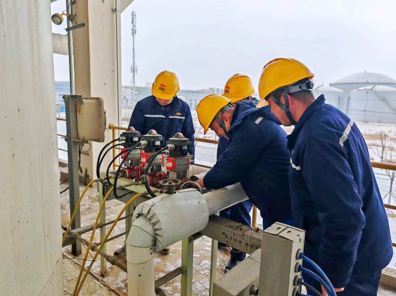 ������app