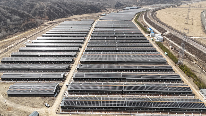 ������app