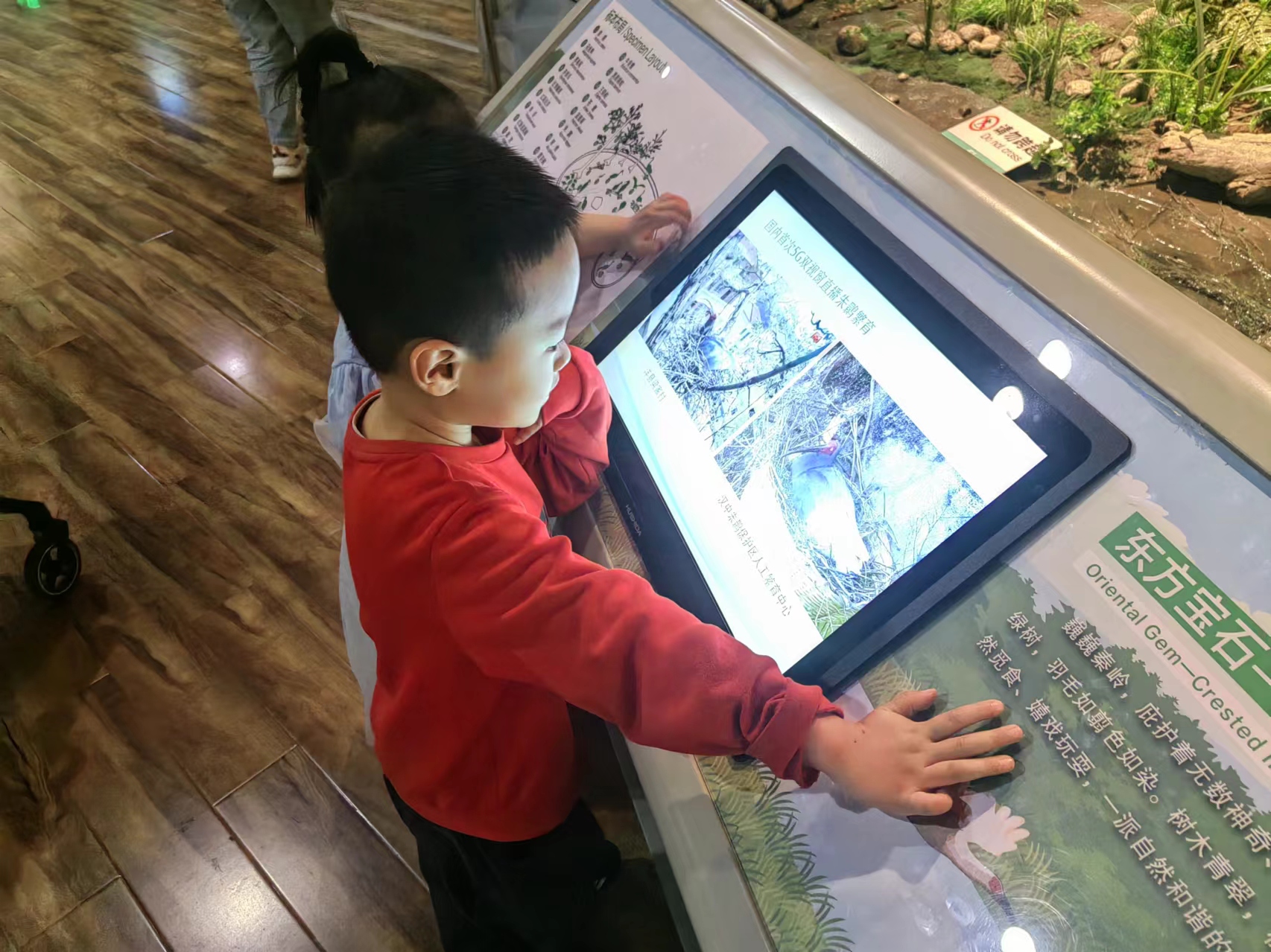 ������app