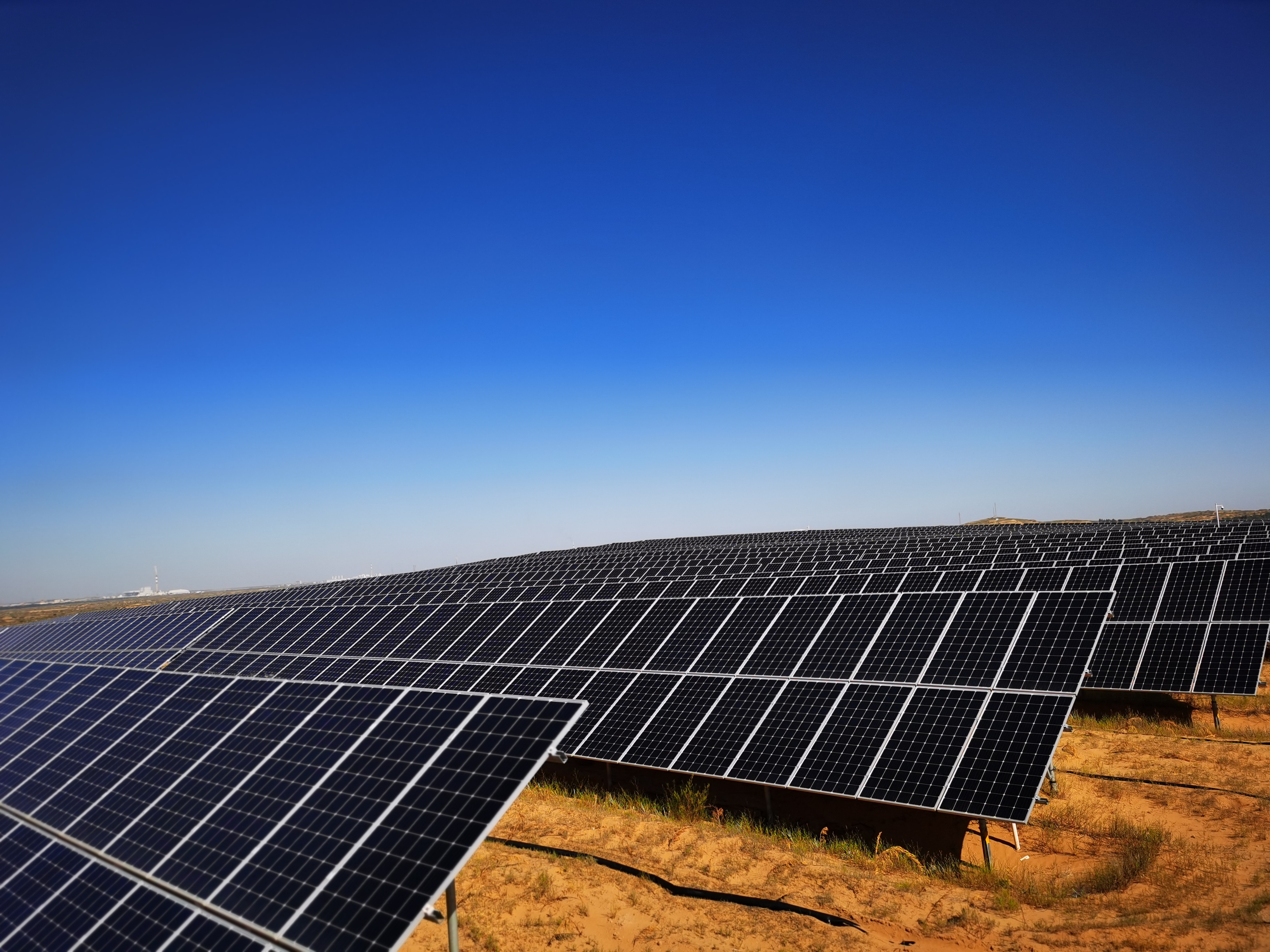 ������app